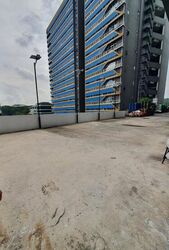 Mandai Connection (D25), Factory #575906511
